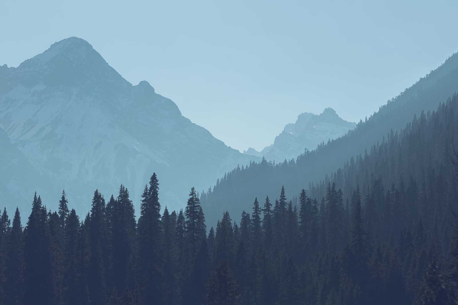 qi-bin-w4hbafegiac-unsplash