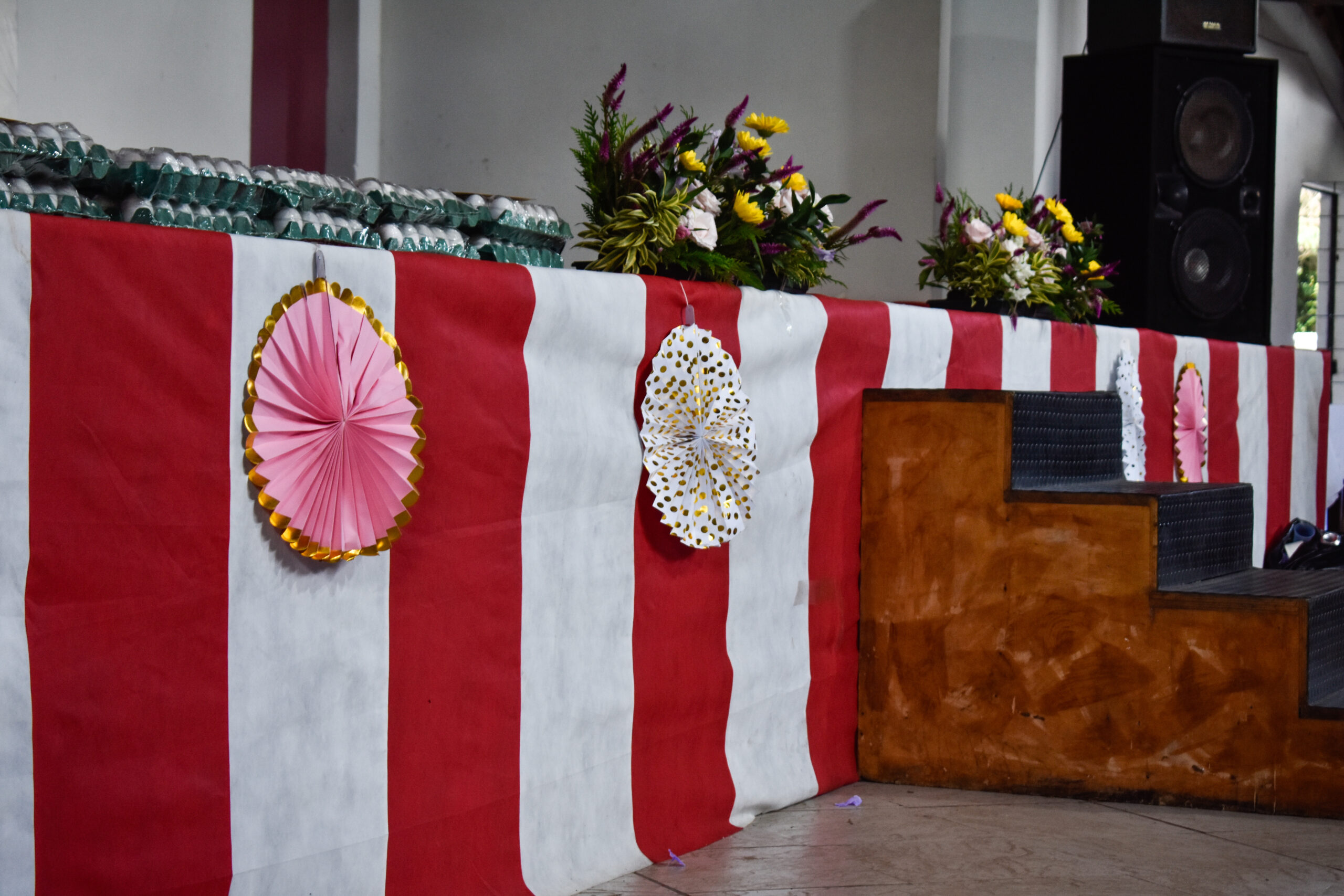 Cópia de _DSC0580