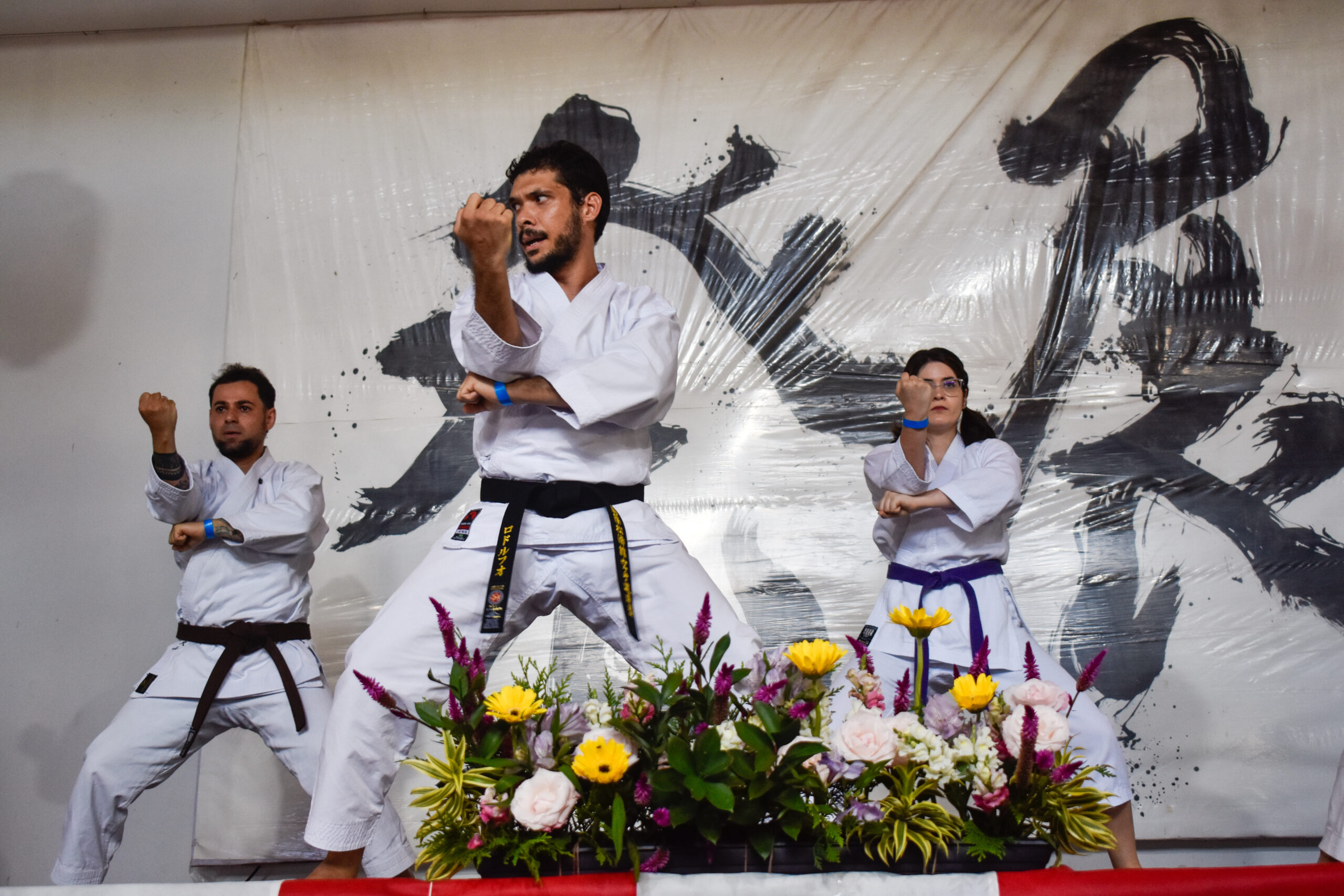 Cópia de _DSC0204