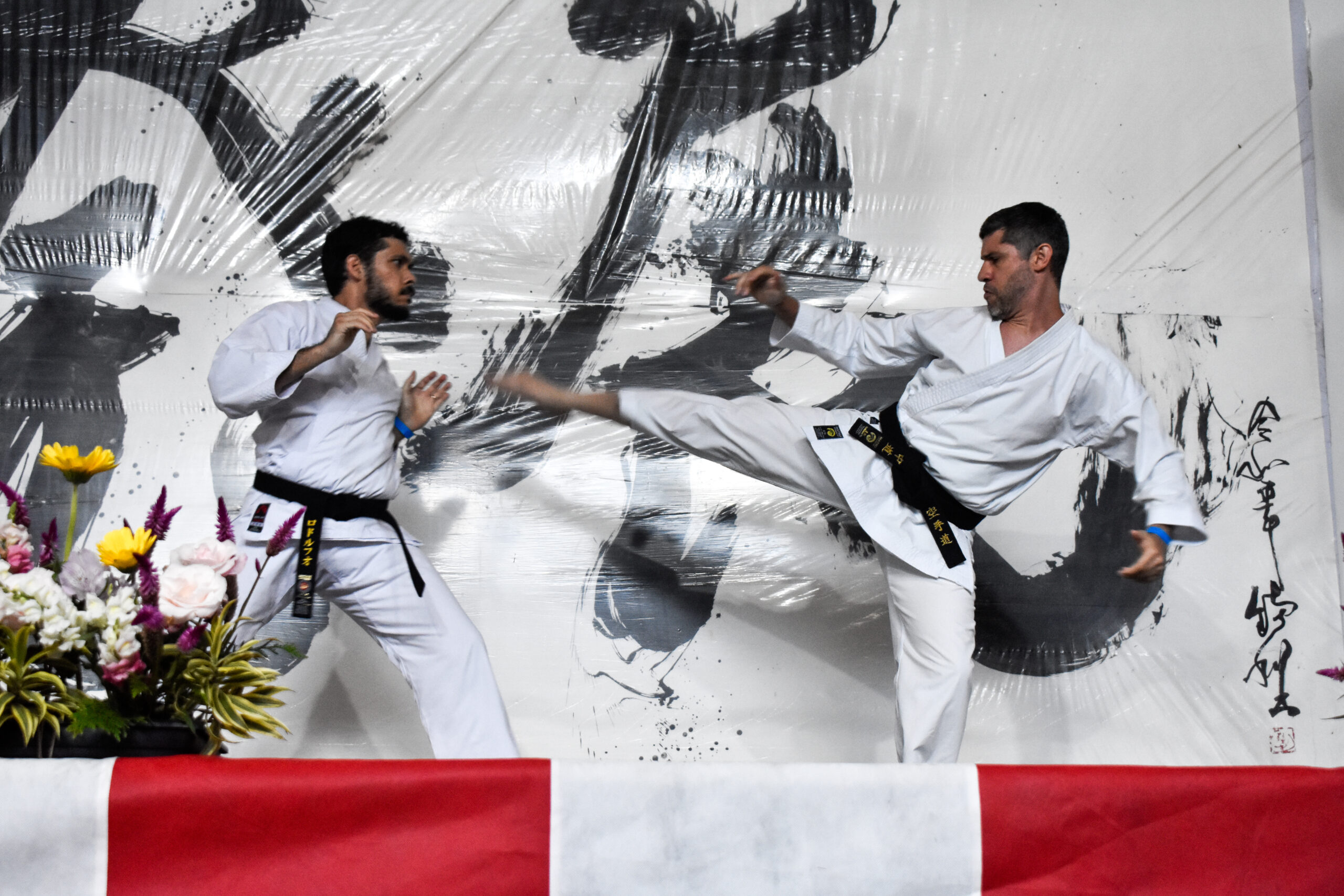 Cópia de _DSC0244